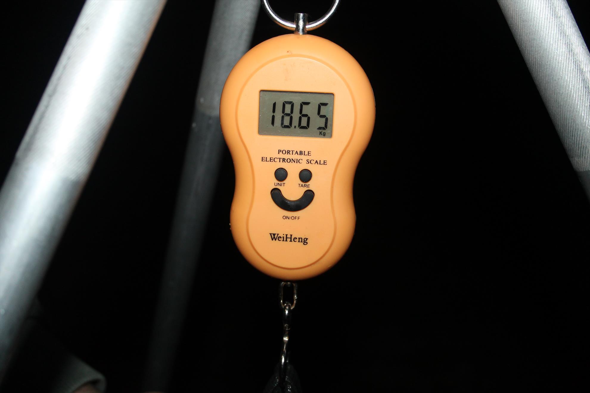 Harsany 20-23 aprilie 2014 - harsany-aprilie2014-159.JPG